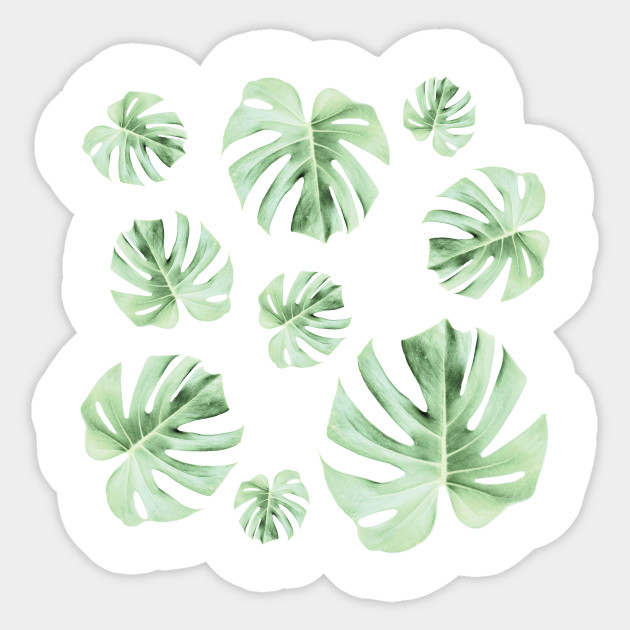 Tropical Green Leaves